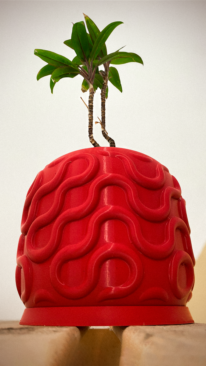 SEAMLESS PLANTER 5 1920